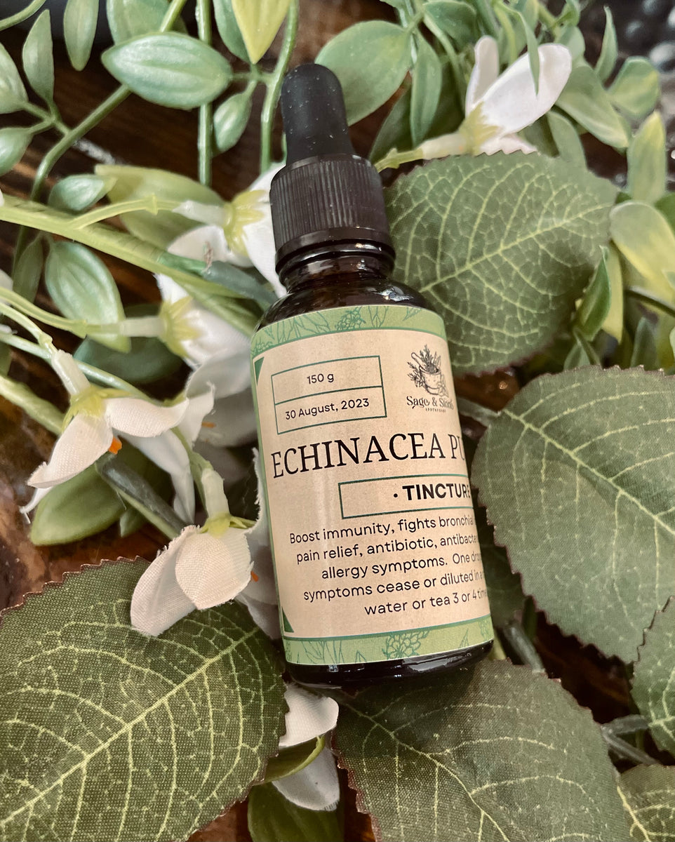 Echinacea Tincture Sage & Stone Apothecary