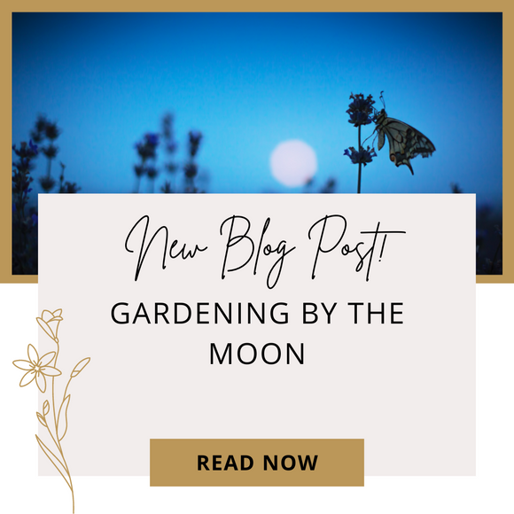 GARDENING BY THE MOON: HOW LUNAR PLANTING DEEPENS YOUR RELATIONSHIP WITH THE WORLD YOU LIVE IN